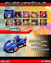 Game: Sonic and Sega All Stars Racing